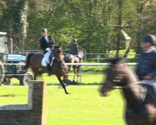 Springturnier Wildeshausen 2016