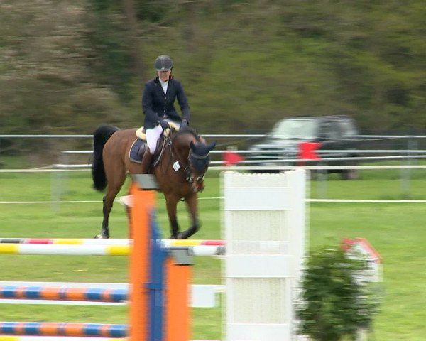 Springturnier Wildeshausen 2016