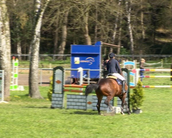 Springturnier Wildeshausen 2016