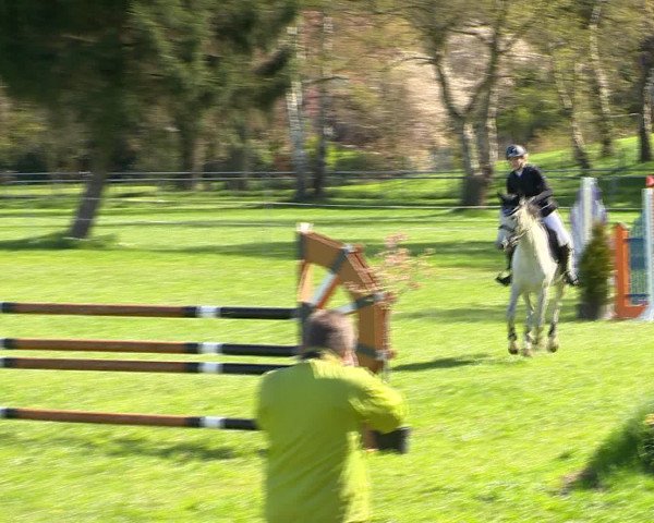Springturnier Wildeshausen 2016