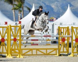 broodmare Ronde de La Chatre (Anglo-Arabs, 2005, from Hermes d'Authieux AA)