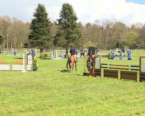 Springturnier Wildeshausen 2016