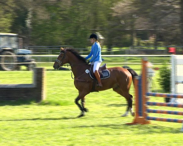 Springturnier Wildeshausen 2016