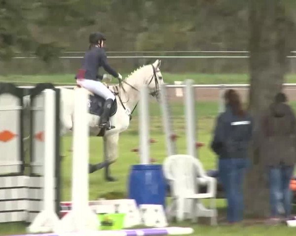 Springturnier Wildeshausen 2016