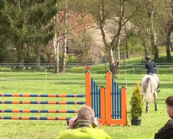 Springturnier Wildeshausen 2016