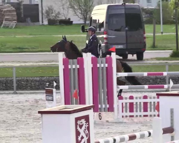 Frühjahrs-Reitturnier Ingolstadt-Hagau 2016