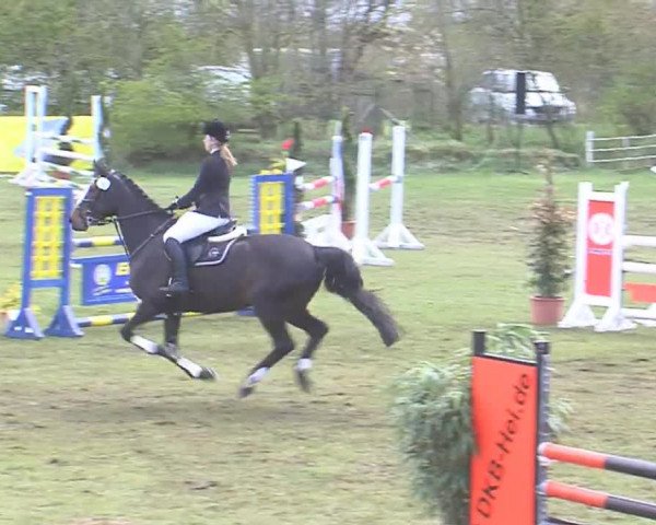 Reitturnier Heide-Hochfeld 2016