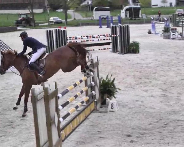 Frühjahrs-Reitturnier Ingolstadt-Hagau 2016