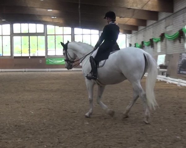 Reitturnier Leverkusen-Rheindorf 2016