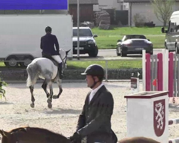 Frühjahrs-Reitturnier Ingolstadt-Hagau 2016
