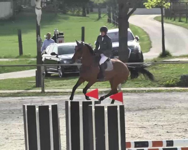 Frühjahrs-Reitturnier Ingolstadt-Hagau 2016