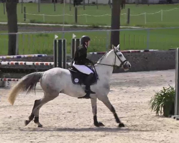 Frühjahrs-Reitturnier Ingolstadt-Hagau 2016