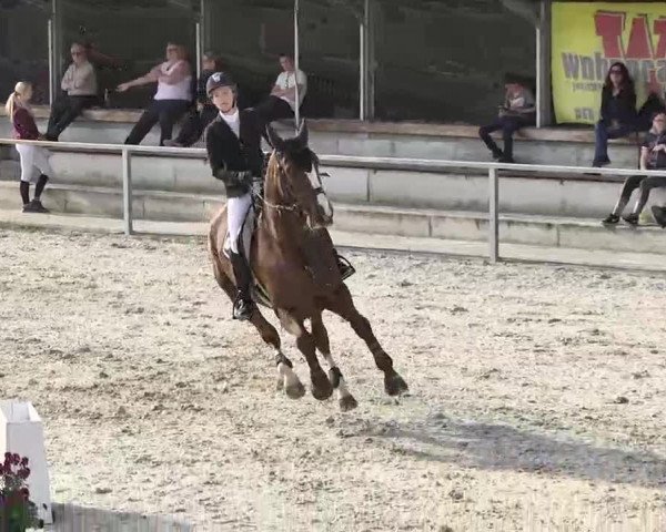 Frühjahrs-Reitturnier Ingolstadt-Hagau 2016