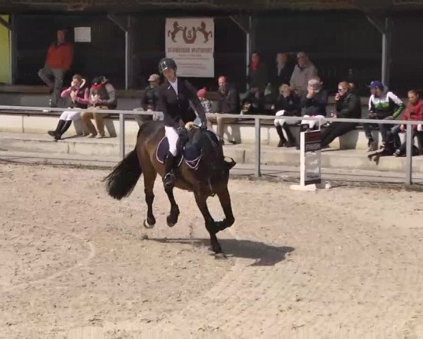 Frühjahrs-Reitturnier Ingolstadt-Hagau 2016