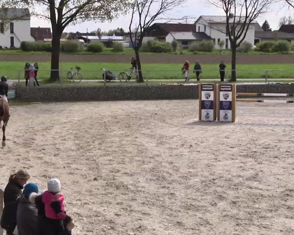 Frühjahrs-Reitturnier Ingolstadt-Hagau 2016