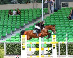 broodmare Lordana 44 (Oldenburg show jumper, 2010, from Lordanos)