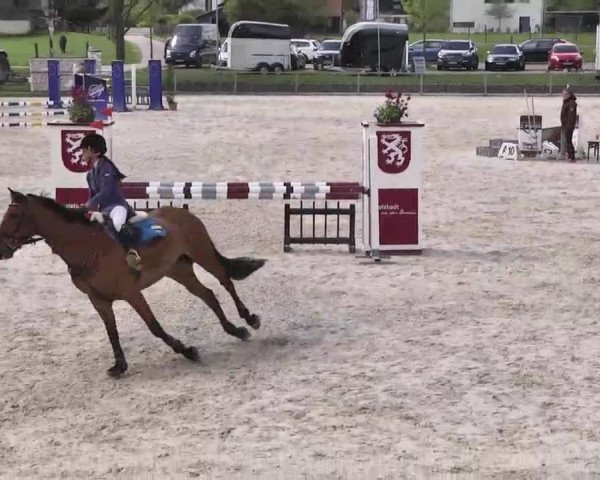 Frühjahrs-Reitturnier Ingolstadt-Hagau 2016
