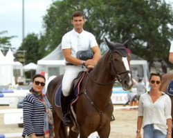 Springpferd Top Hat des Desig (Spanisches Sportpferd, 2013, von Kannan)