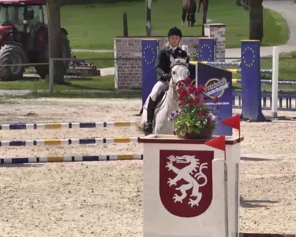 Frühjahrs-Reitturnier Ingolstadt-Hagau 2016