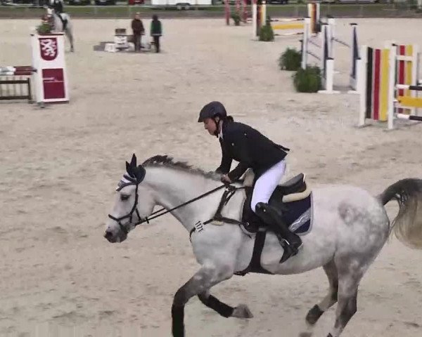 Frühjahrs-Reitturnier Ingolstadt-Hagau 2016