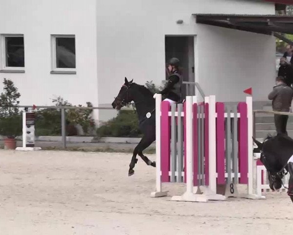 Frühjahrs-Reitturnier Ingolstadt-Hagau 2016