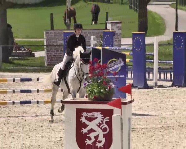 Frühjahrs-Reitturnier Ingolstadt-Hagau 2016
