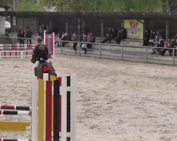 Frühjahrs-Reitturnier Ingolstadt-Hagau 2016