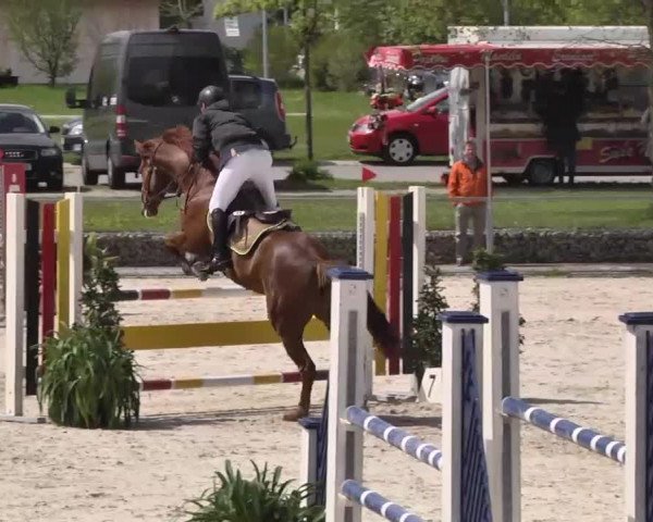 Frühjahrs-Reitturnier Ingolstadt-Hagau 2016