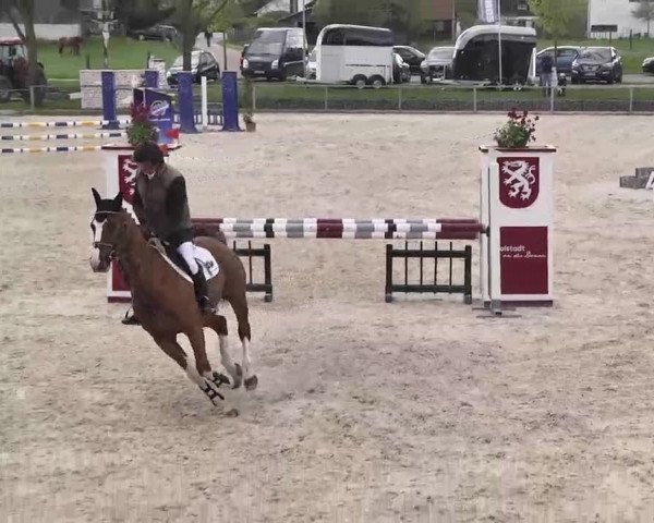 Frühjahrs-Reitturnier Ingolstadt-Hagau 2016