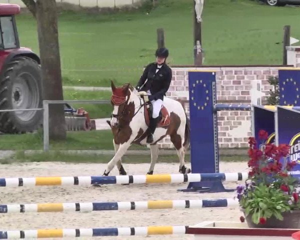 Frühjahrs-Reitturnier Ingolstadt-Hagau 2016