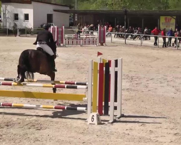 Frühjahrs-Reitturnier Ingolstadt-Hagau 2016