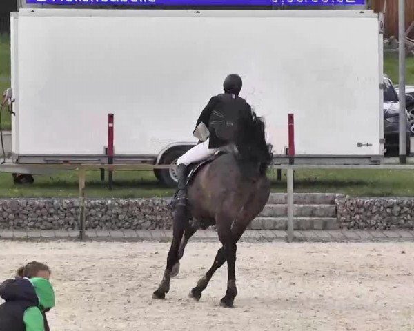 Frühjahrs-Reitturnier Ingolstadt-Hagau 2016