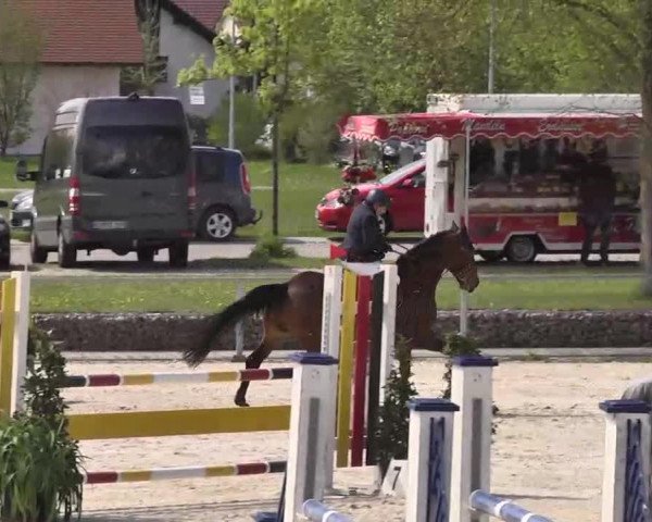 Frühjahrs-Reitturnier Ingolstadt-Hagau 2016