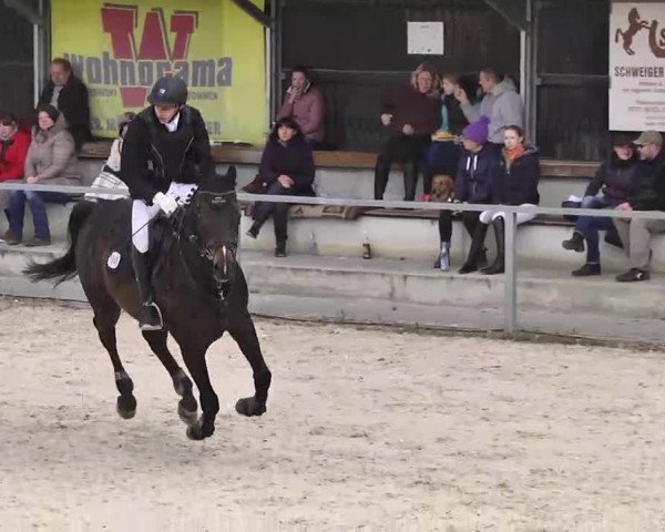 Frühjahrs-Reitturnier Ingolstadt-Hagau 2016