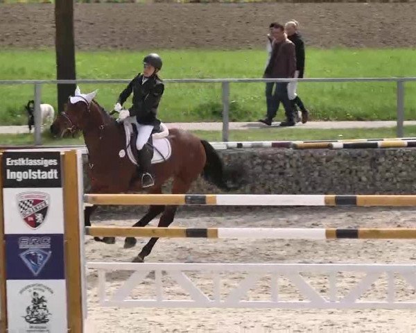 Frühjahrs-Reitturnier Ingolstadt-Hagau 2016