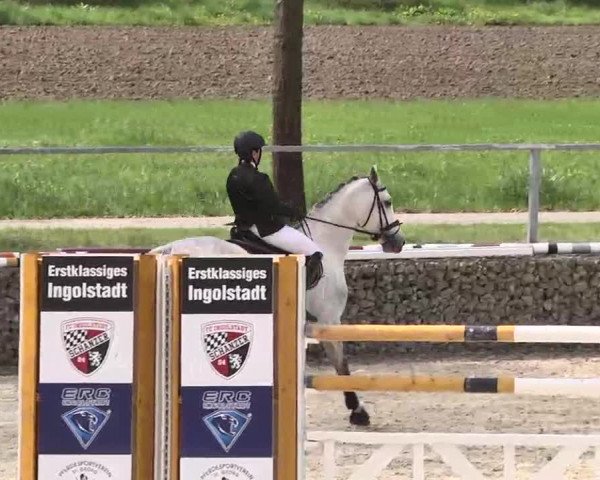 Frühjahrs-Reitturnier Ingolstadt-Hagau 2016