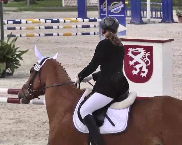 Frühjahrs-Reitturnier Ingolstadt-Hagau 2016