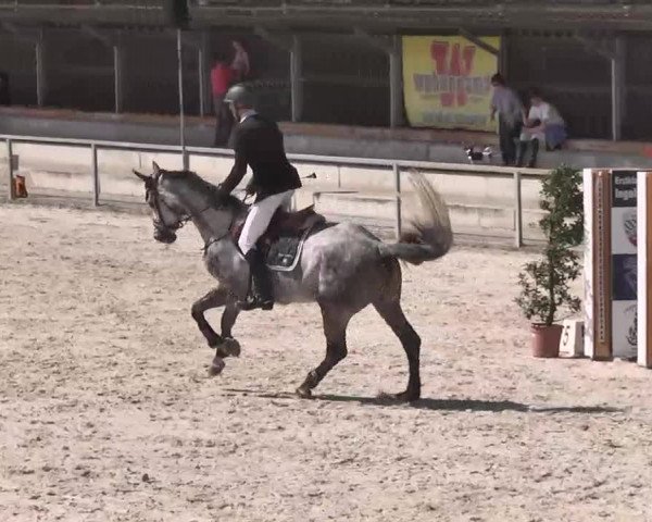 Frühjahrs-Reitturnier Ingolstadt-Hagau 2016