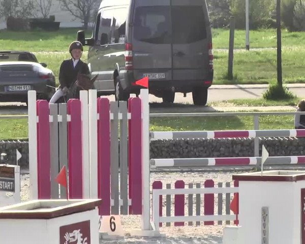 Frühjahrs-Reitturnier Ingolstadt-Hagau 2016