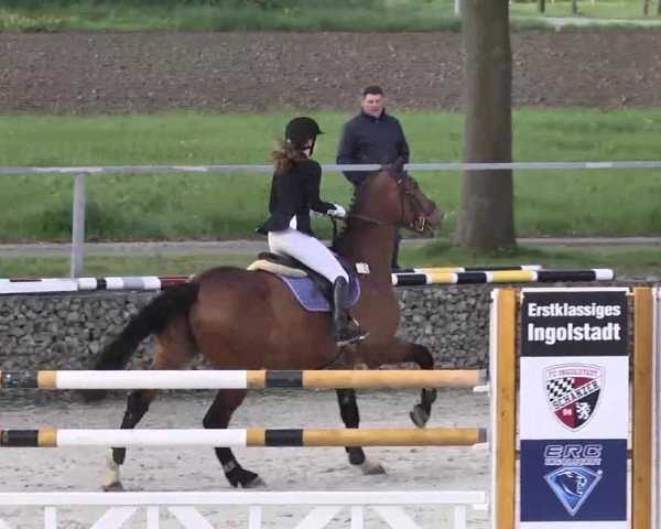 Frühjahrs-Reitturnier Ingolstadt-Hagau 2016