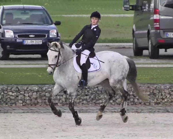 Frühjahrs-Reitturnier Ingolstadt-Hagau 2016