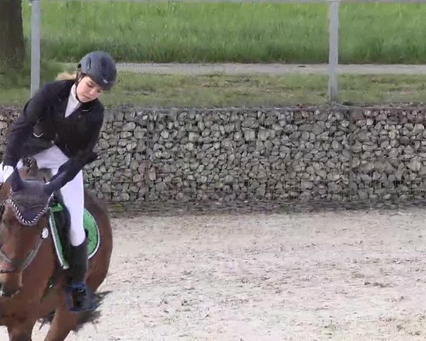 Frühjahrs-Reitturnier Ingolstadt-Hagau 2016