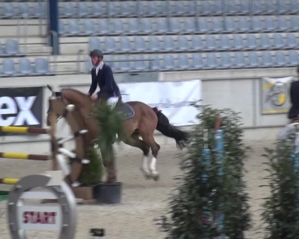 FEI Reitturnier Aachen (GER) 2016