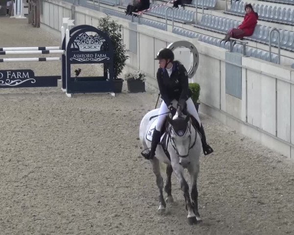 FEI Reitturnier Aachen (GER) 2016