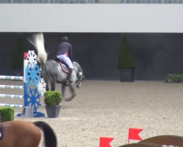 FEI Reitturnier Aachen (GER) 2016