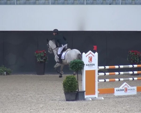 FEI Reitturnier Aachen (GER) 2016