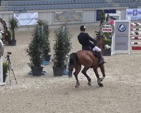FEI Reitturnier Aachen (GER) 2016