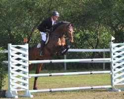 broodmare Charel Gold (Oldenburg show jumper, 2007, from Quicksilber)