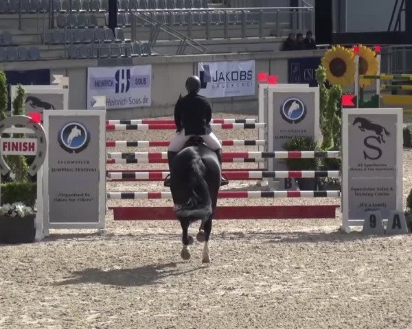 FEI Reitturnier Aachen (GER) 2016