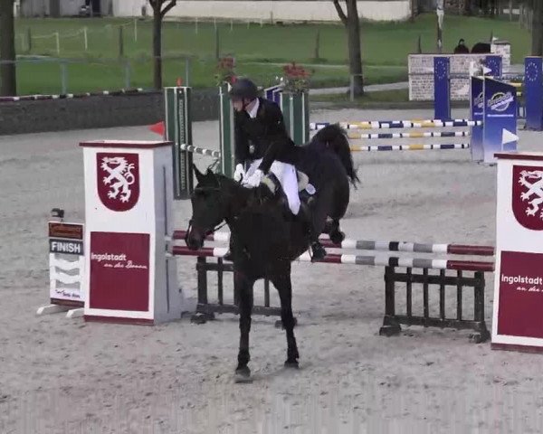 Frühjahrs-Reitturnier Ingolstadt-Hagau 2016